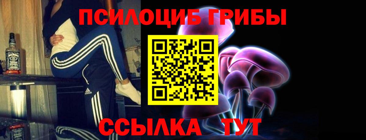 Псилоцибиновые грибы прущие грибы Калач-на-Дону
